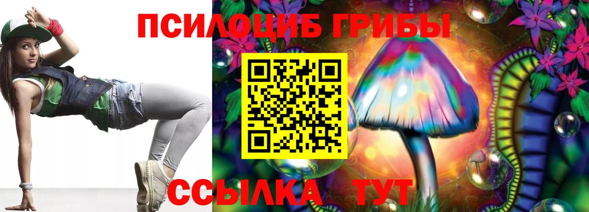 Псилоцибиновые грибы прущие грибы Новокузнецк